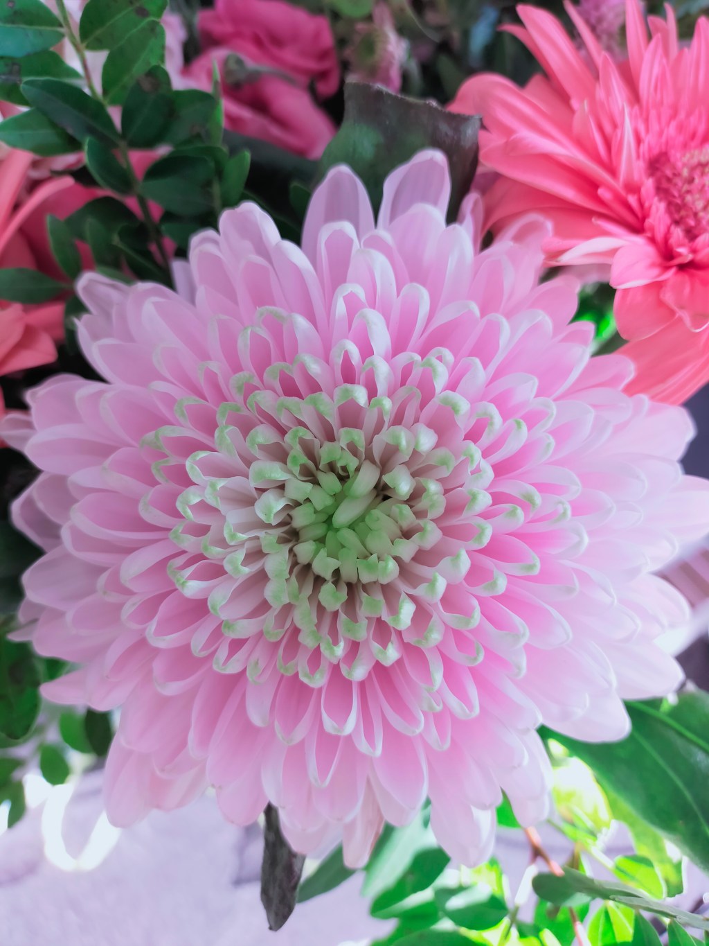 Projet 52-2023 : Sem 17 – Couleur&nbsp;Pastel