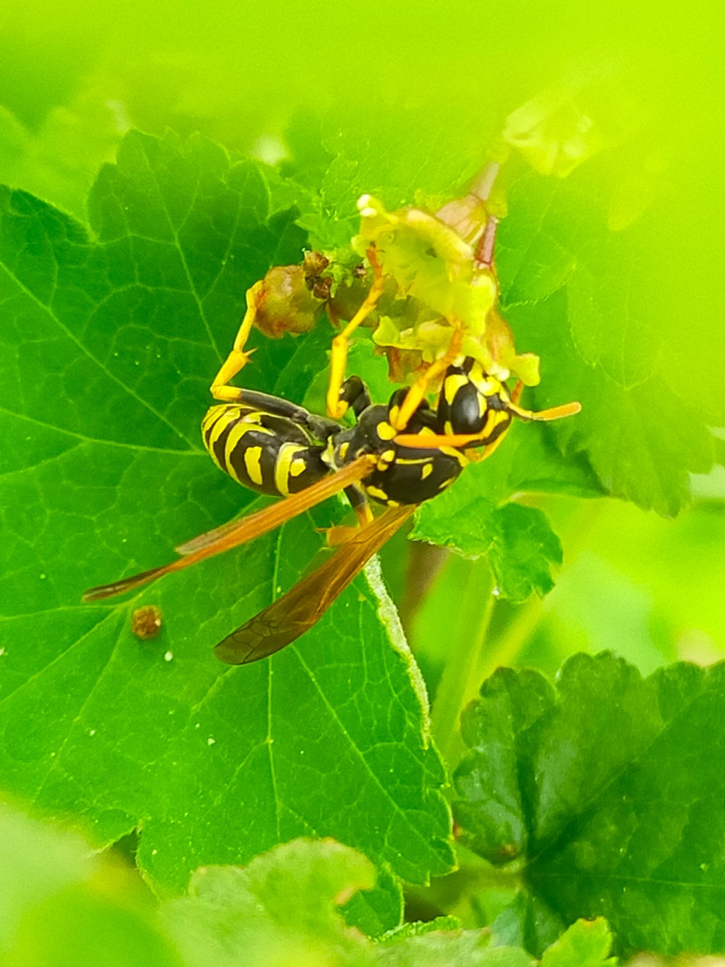 1 mois 1 photo – Mai 2023