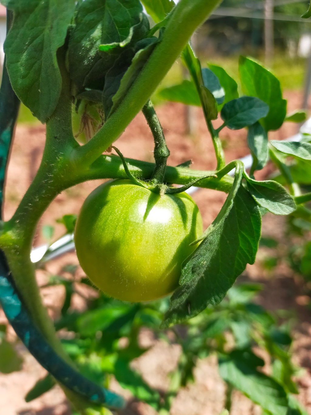 Projet 52-2023 : Sem 24 – Derrière chez&nbsp;moi