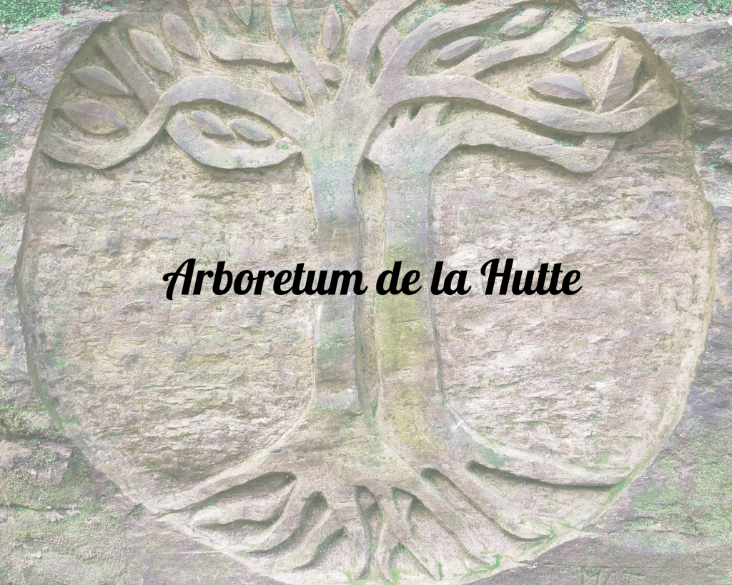 Arboretum de la&nbsp;Hutte