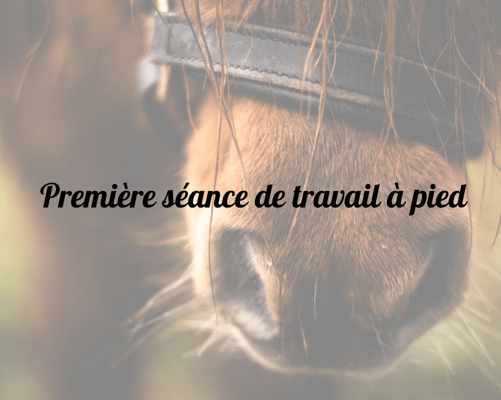 Première séance de travail à&nbsp;pied