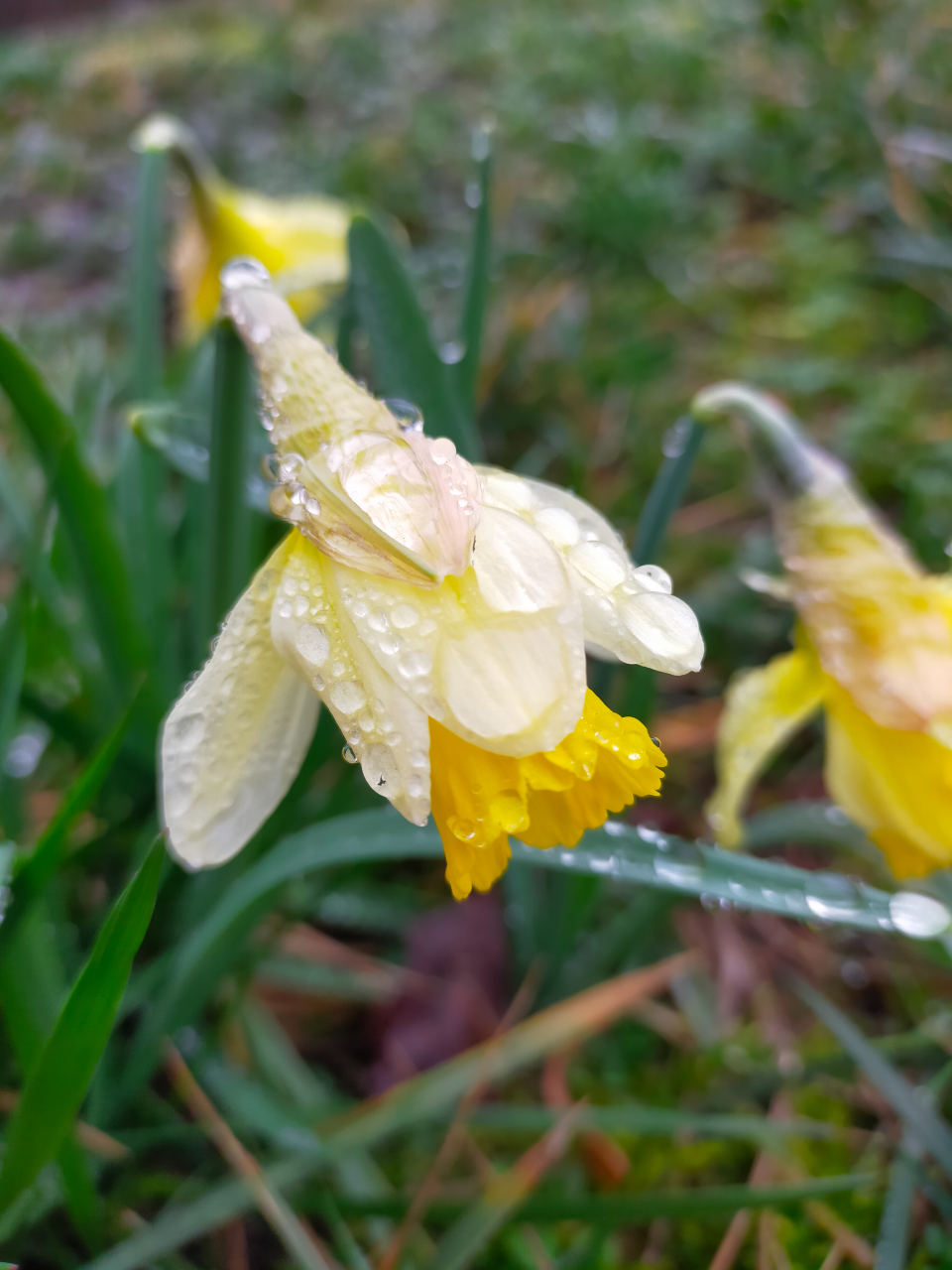 1 mois 1 photo – Février&nbsp;2024