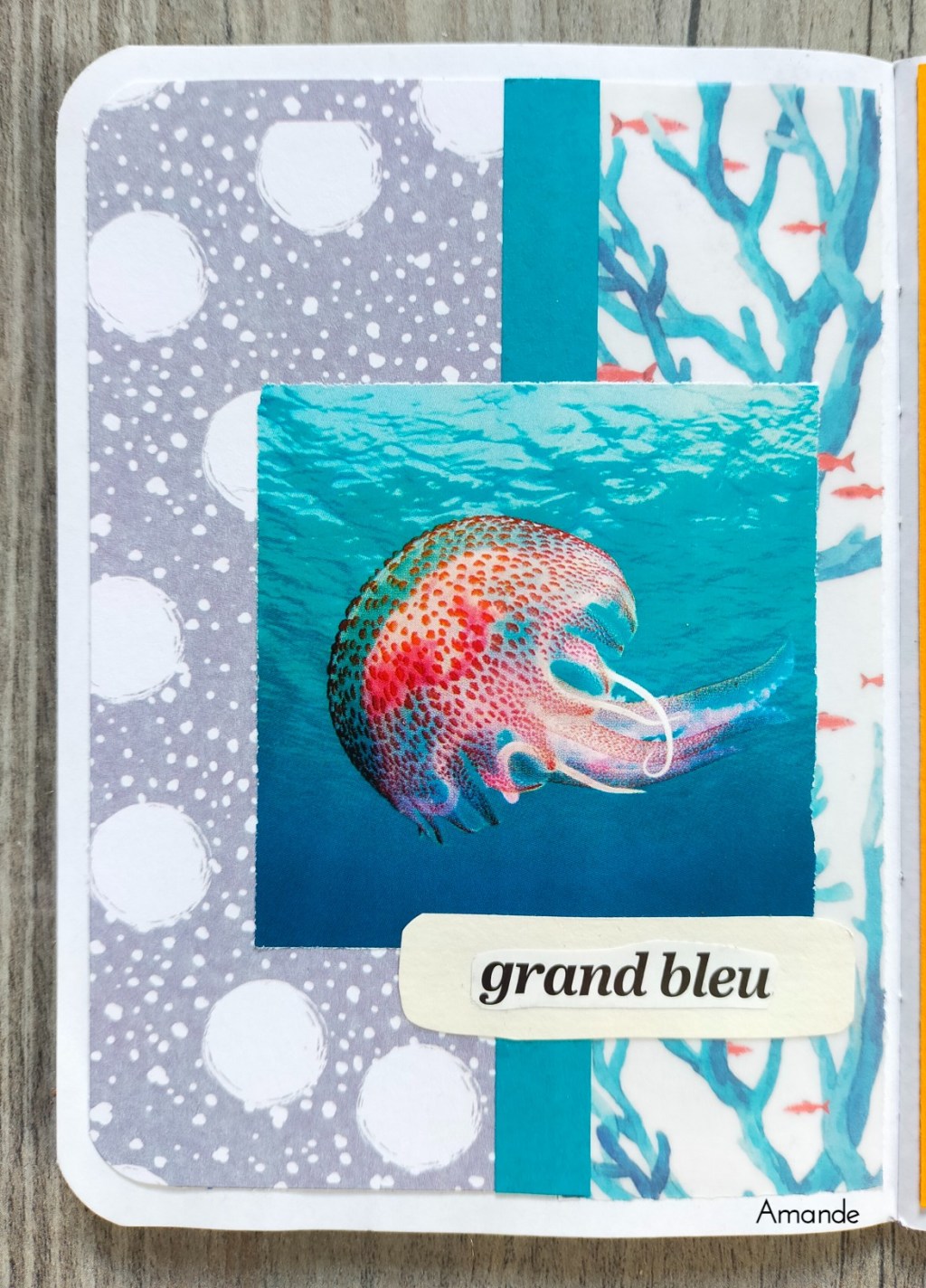 Mini collage 2024 semaine&nbsp;08