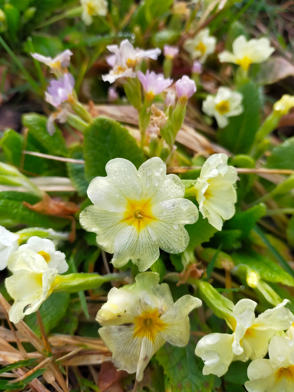 1 mois 1 photo – Mars&nbsp;2024