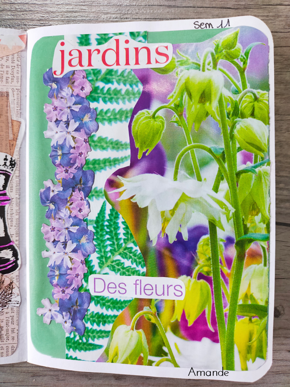 Mini collage 2024 semaine&nbsp;11