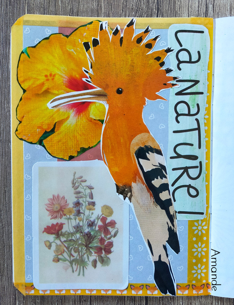 Mini collage 2024 semaine&nbsp;14