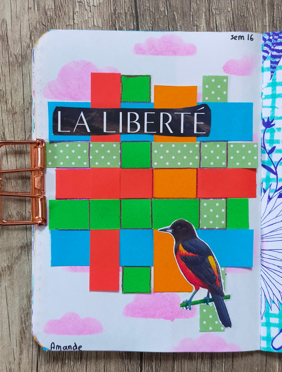 Mini collage 2024 semaine&nbsp;16