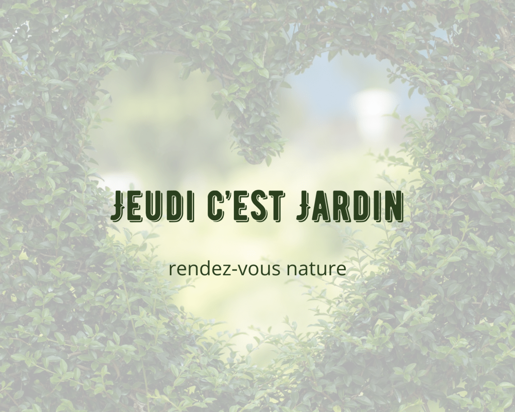 Jeudi c&rsquo;est Jardin – Semis et Épanouissement&nbsp;Printanier