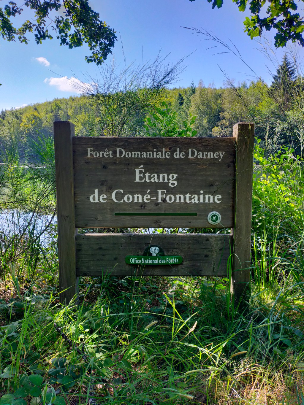 1 mois 1 photo – Août 2024 – Étang de&nbsp;Coné-Fontaine