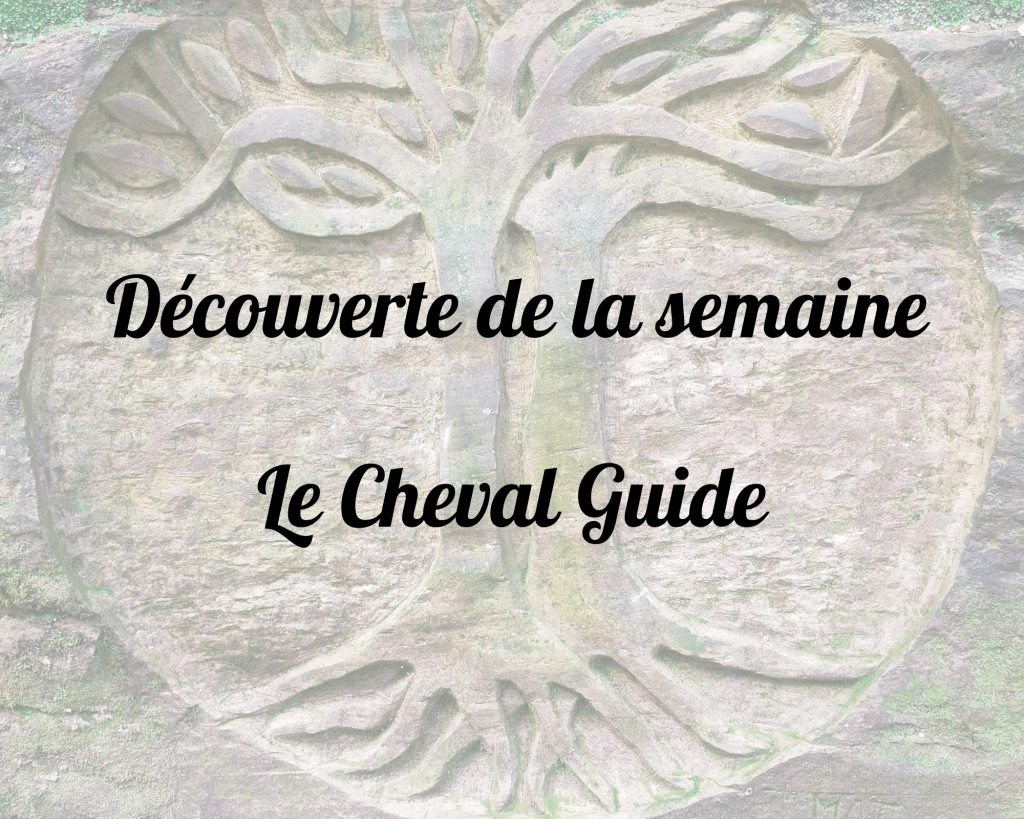 Découvertes de la semaine #6 – Le cheval&nbsp;guide
