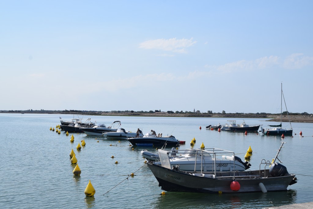 Projet 52-2025 : Sem 12 –&nbsp;Salé