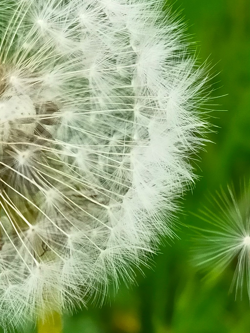 1 mois 1 photo – Avril&nbsp;2025