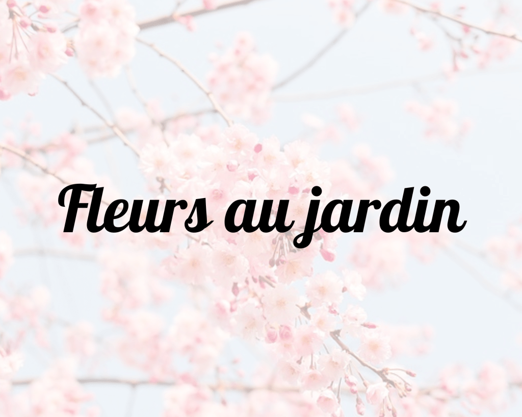 Fleurs au jardin