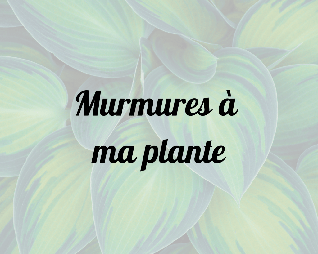 Murmures à ma&nbsp;plante